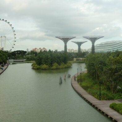 Gardens by the Bay (滨海湾花园), parco inaugurato nel 2012