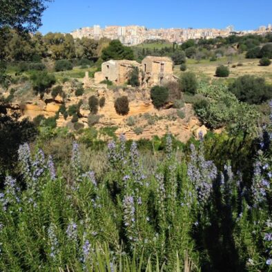 La Valle dei Templi