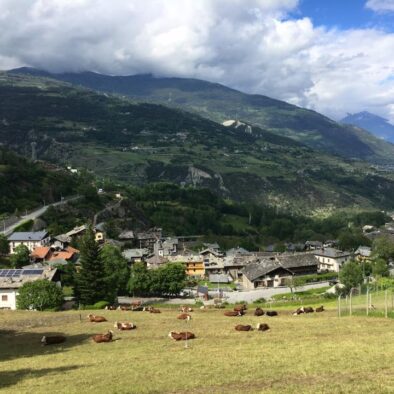 Parco faunistico d’Introd