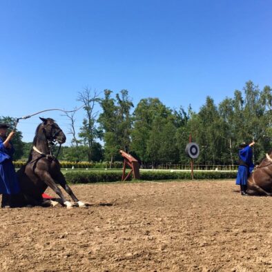 马术表演马术表演 (Lazar Equestrian Park)