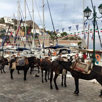 Hydra Island