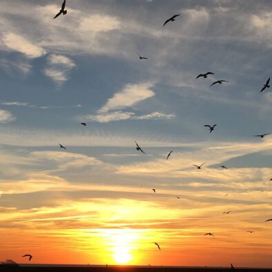 Sunset at Le Havre