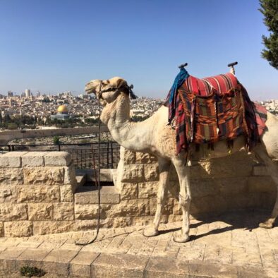 The Mount of Olives in Jerusalem