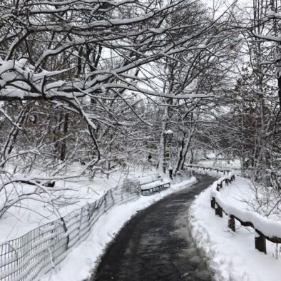 Central Park