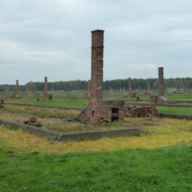 I camini delle baracche a Birkenau
