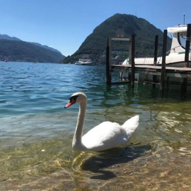 Il Lago di Lugano