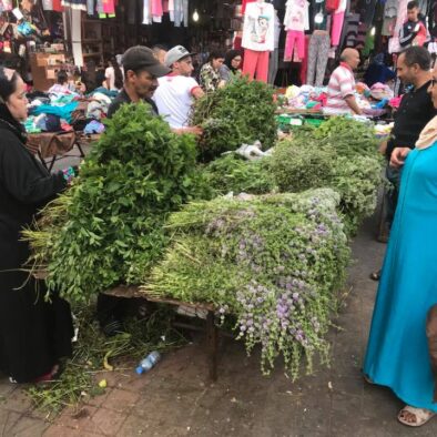 La Medina