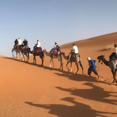 Camel Trekking in Merzouga