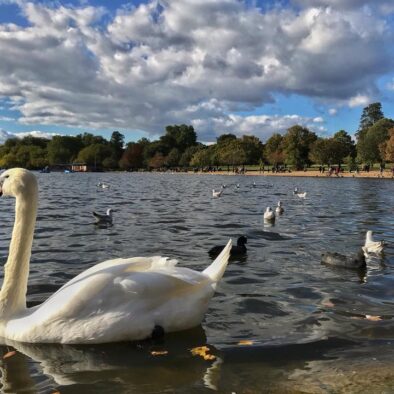Hyde Park