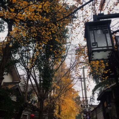 Wide and Narrow Alley (宽窄巷子) a Chengdu (成都)