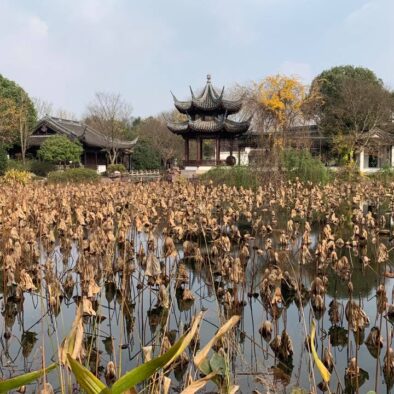 Xixi National Wetland Park (西溪国家湿地公园)