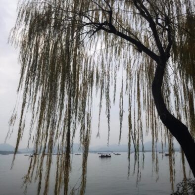West Lake (西湖)