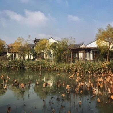 Xixi National Wetland Park (西溪国家湿地公园)