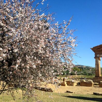 La Valle dei Templi