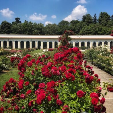 Niso Fumagalli Rose Garden, located outside Villa Reale in Monza