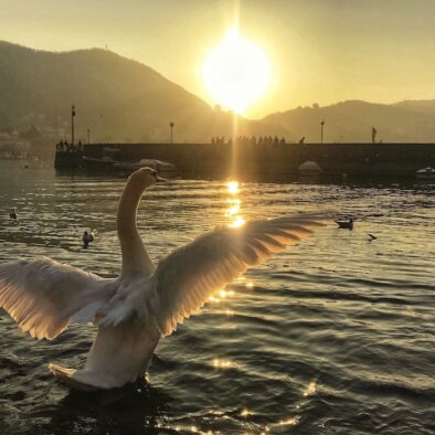 Lake Como at sunset