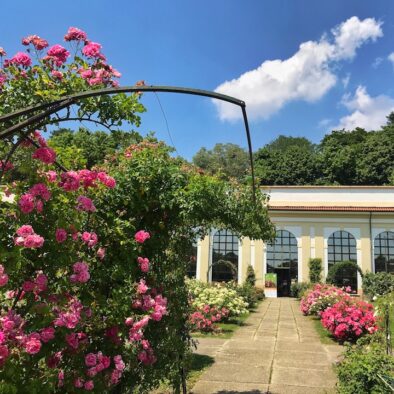 Niso Fumagalli Rose Garden, located outside Villa Reale in Monza