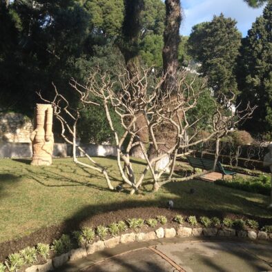 奥古斯都花园 (Giardini di Augusto)