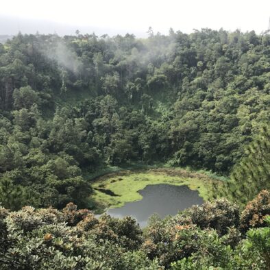 鹿洞火山口 (Trou Aux Cerfs )