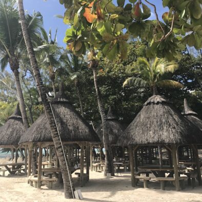 鹿岛 (Île aux Cerfs)