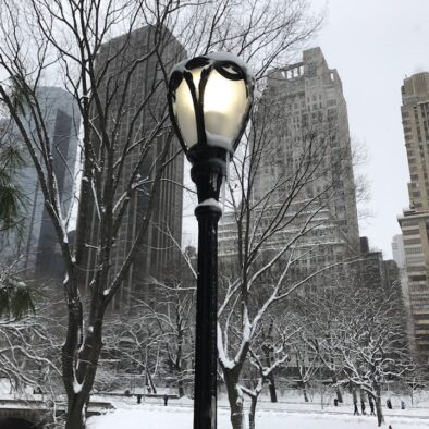Central Park