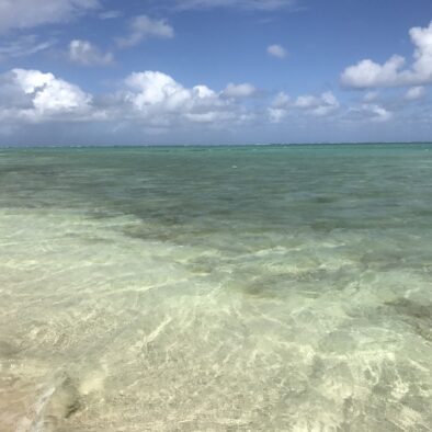 弗利康弗拉克 (Flic-en-Flac) 的海滩