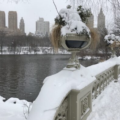 Central Park