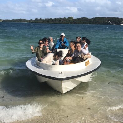 鹿岛 (Île aux Cerfs)