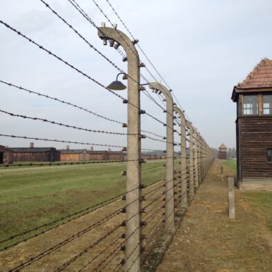 Il campo di Birkenau