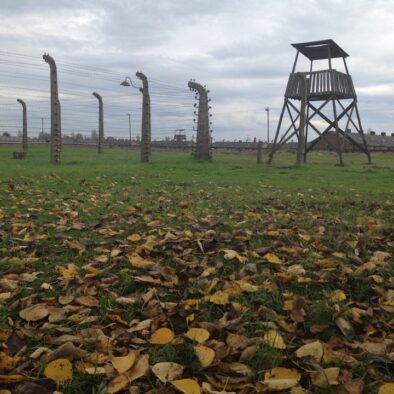 Il campo di Birkenau