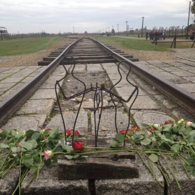 Il campo di Birkenau
