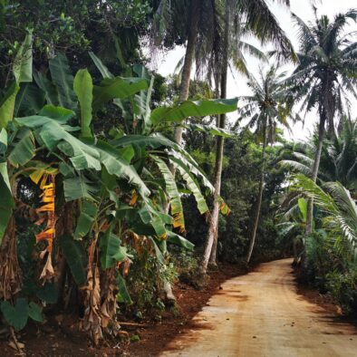 Shangdong Village (上东村)