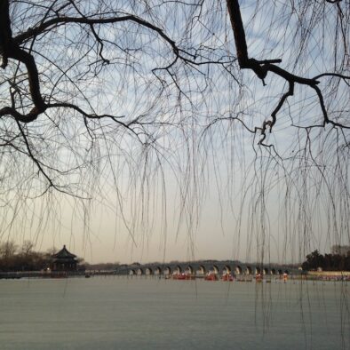 The Summer Palace