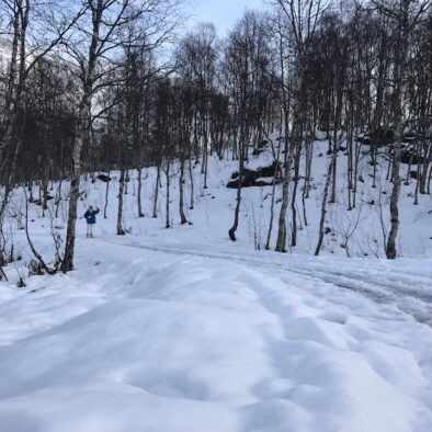 Polar Park