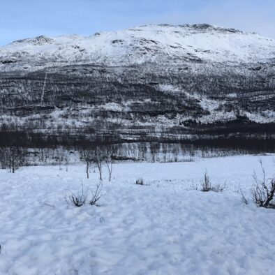 Polar Park