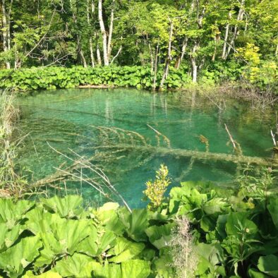 Il Parco nazionale dei laghi di Plitvice (Nacionalni park Plitvička jezera)