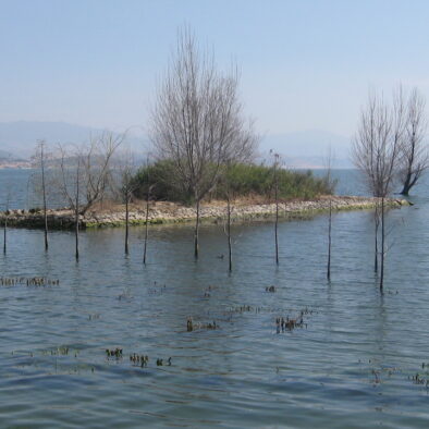 Erhai Lake (洱海)