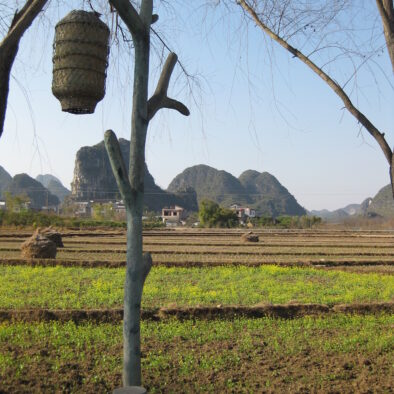 Yangshuo (阳朔)