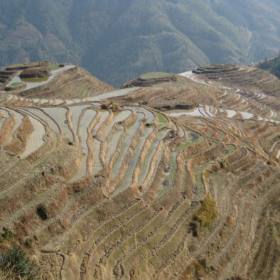 Le risaie di Longsheng (龙胜梯田)