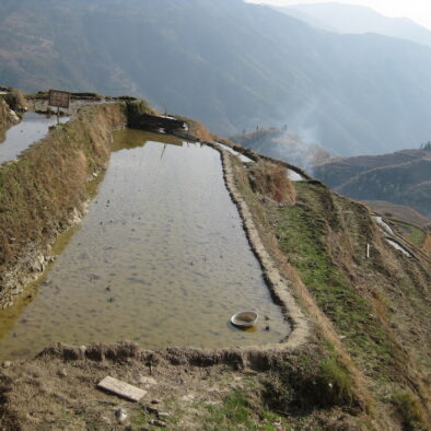 Le risaie di Longsheng (龙胜梯田)