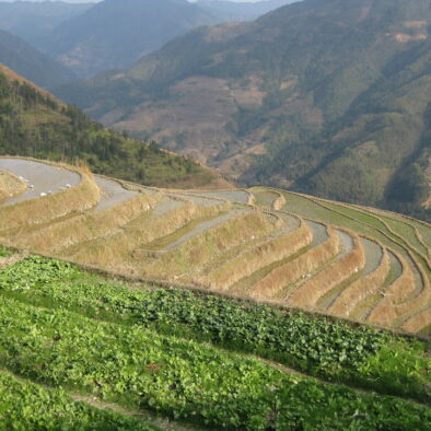 Le risaie di Longsheng (龙胜梯田)