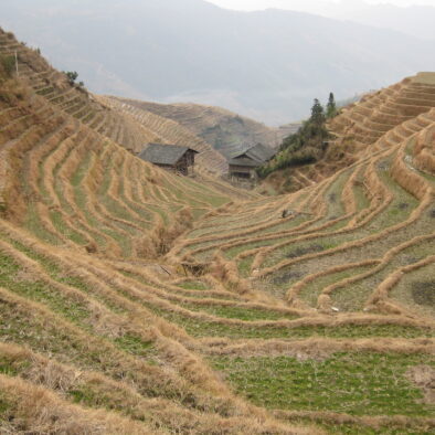 Le risaie di Longsheng (龙胜梯田)