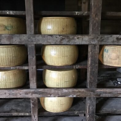 帕拉维奇纳古庄园