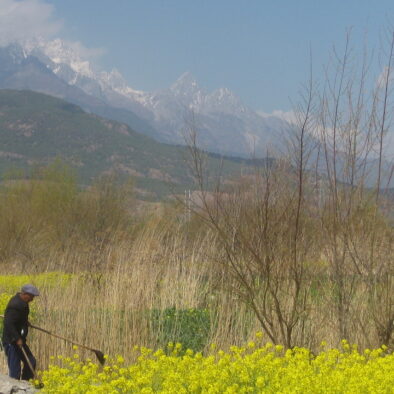 Giro in bicicletta nei dintorni di Lijiang