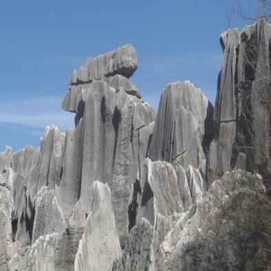 La Foresta di Pietra (石林), a circa 120 km da Kunming (昆明市), capitale dello Yunnan (云南省)