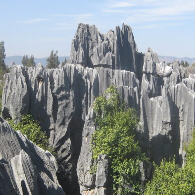 La Foresta di Pietra (石林)