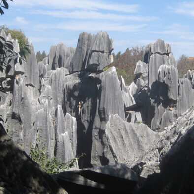 La Foresta di Pietra (石林)