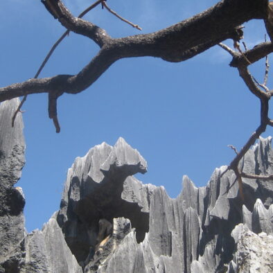 La Foresta di Pietra (石林)