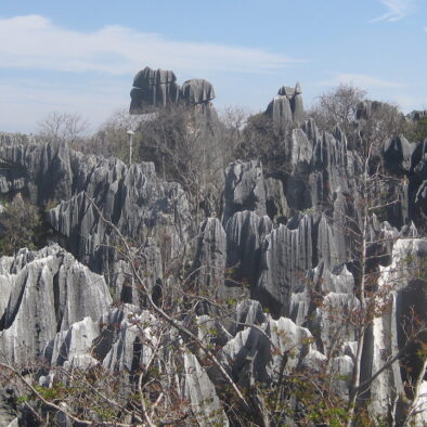 La Foresta di Pietra (石林)