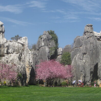 La Foresta di Pietra (石林)